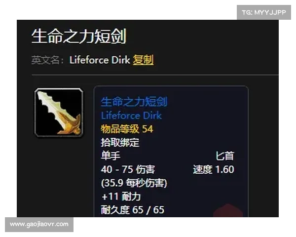 魔兽世界怀旧服盗贼：掌握武器装备之道